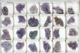 Lot: Grape Agate From Indonesia - Pieces #105228-2